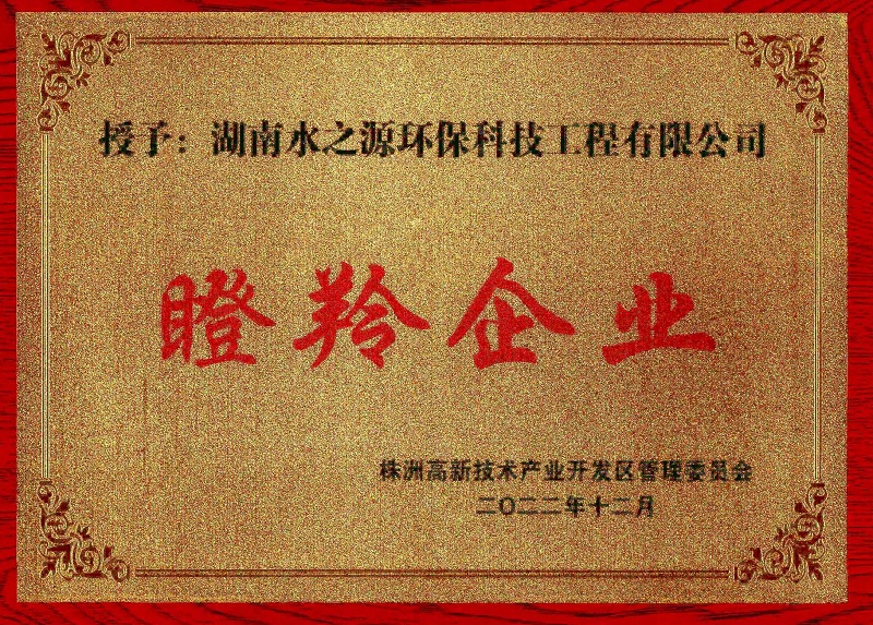 7.1瞪羚企業.jpg 7.1瞪羚企業.jpg